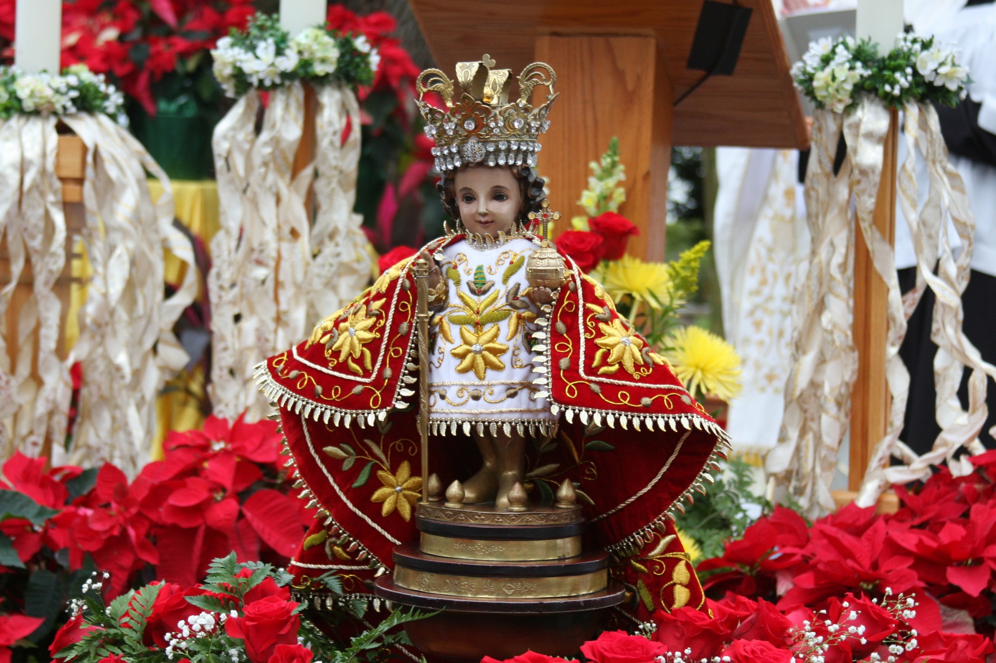 Fr Antonio Writes: 14th Sunday in Ordinary Time (A)