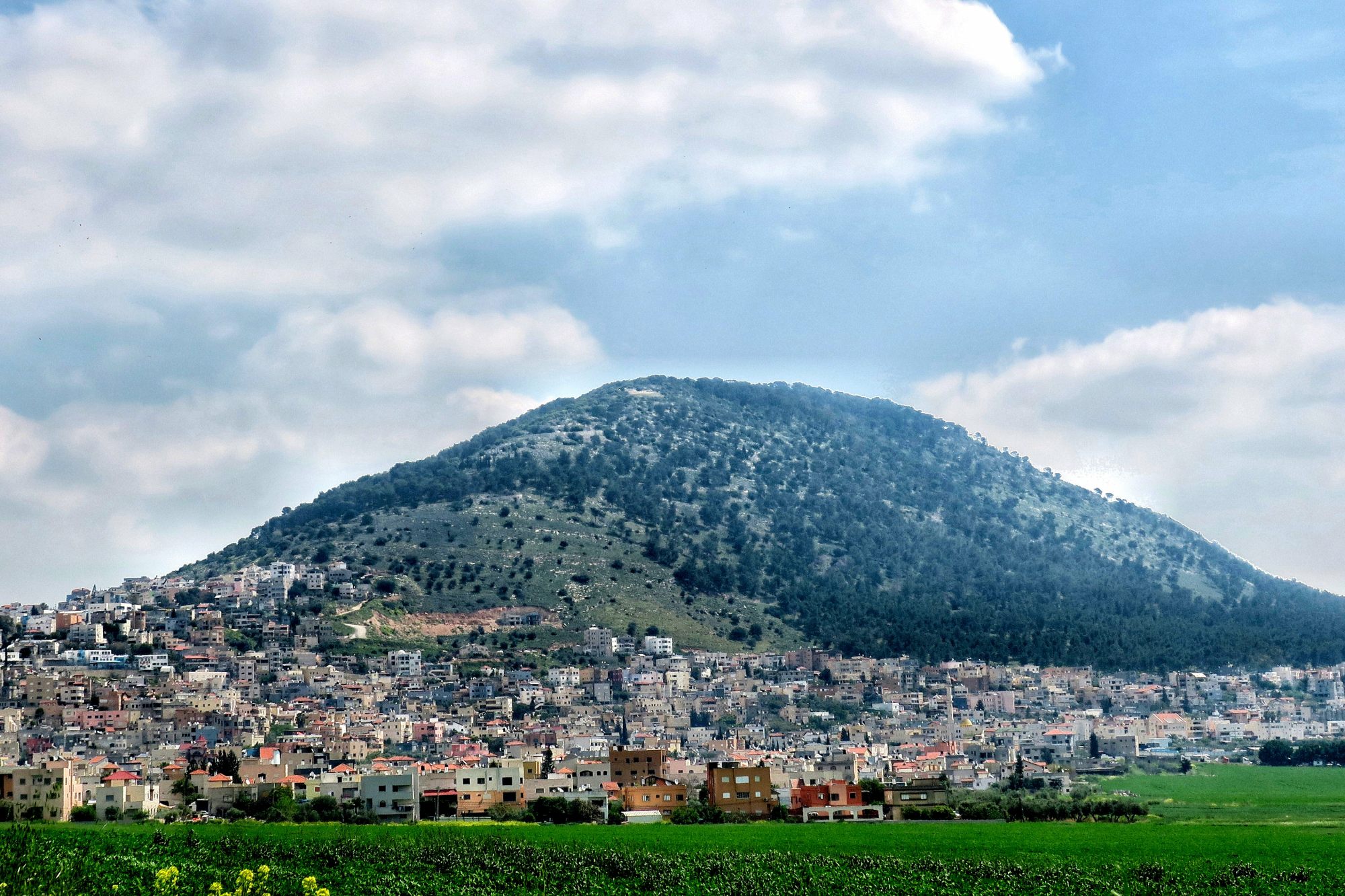 Fr Antonio Writes: The Transfiguration (A)