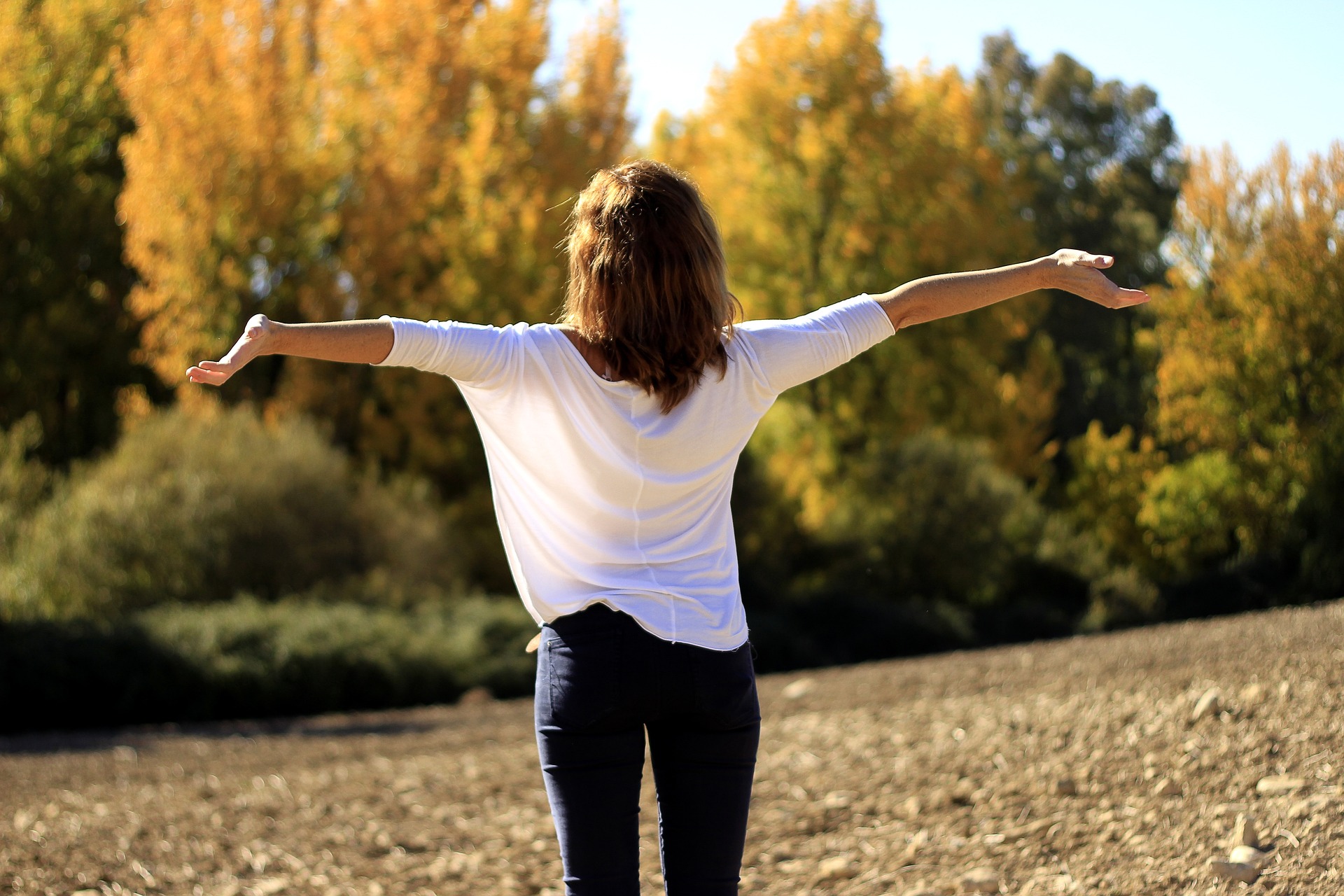 Fr Antonio Writes: Real Freedom is Saying “Yes”
