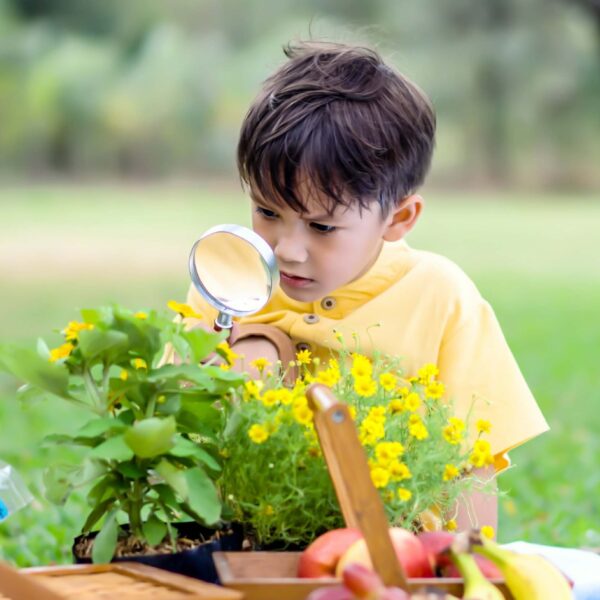 Fr Antonio Writes: Magnifying the Lord
